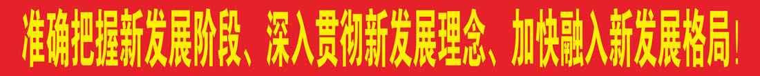 新发展